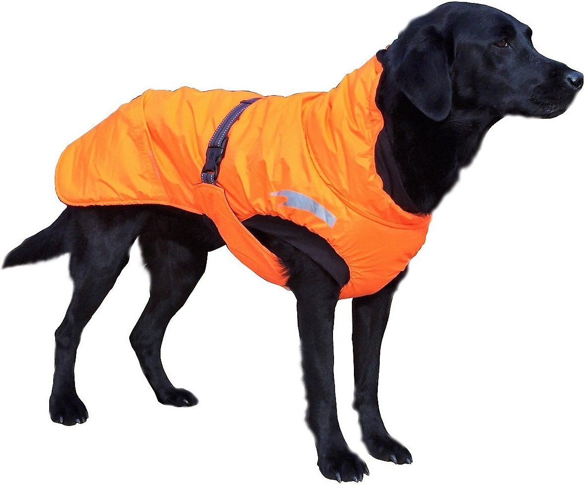 HURTTA Summit Insulated Dog Parka, Orange, 20in