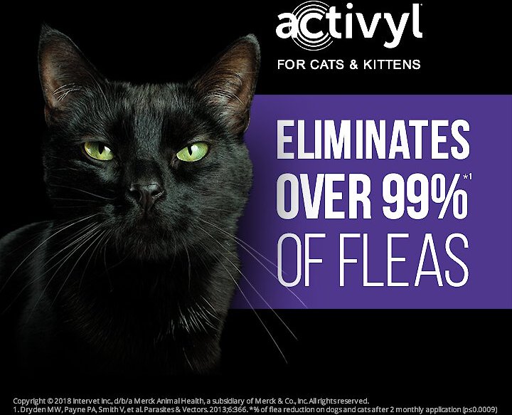 Activyl for shop cats over 9lbs