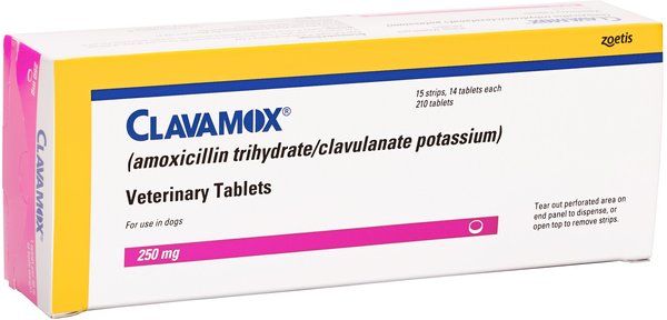 Clavamox (Amoxicillin / Clavulanate Potassium) Chewable Tablets for Dogs & Cats, 250-mg, 1 tablet slide 1 of 6