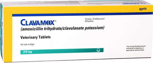 Clavamox (Amoxicillin / Clavulanate Potassium) Chewable Tablets for Dogs & Cats, 375-mg, 1 tablet slide 1 of 6