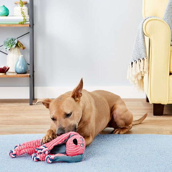 KONG Floppy Knots Dog Toy, Bunny