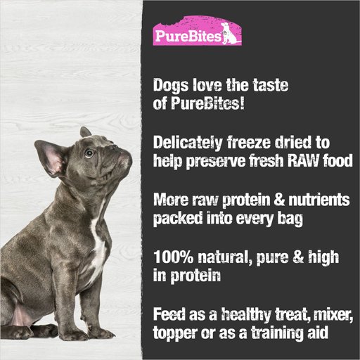 PureBites Salmon Freeze-Dried Raw Dog Treats, 2.47-oz bag