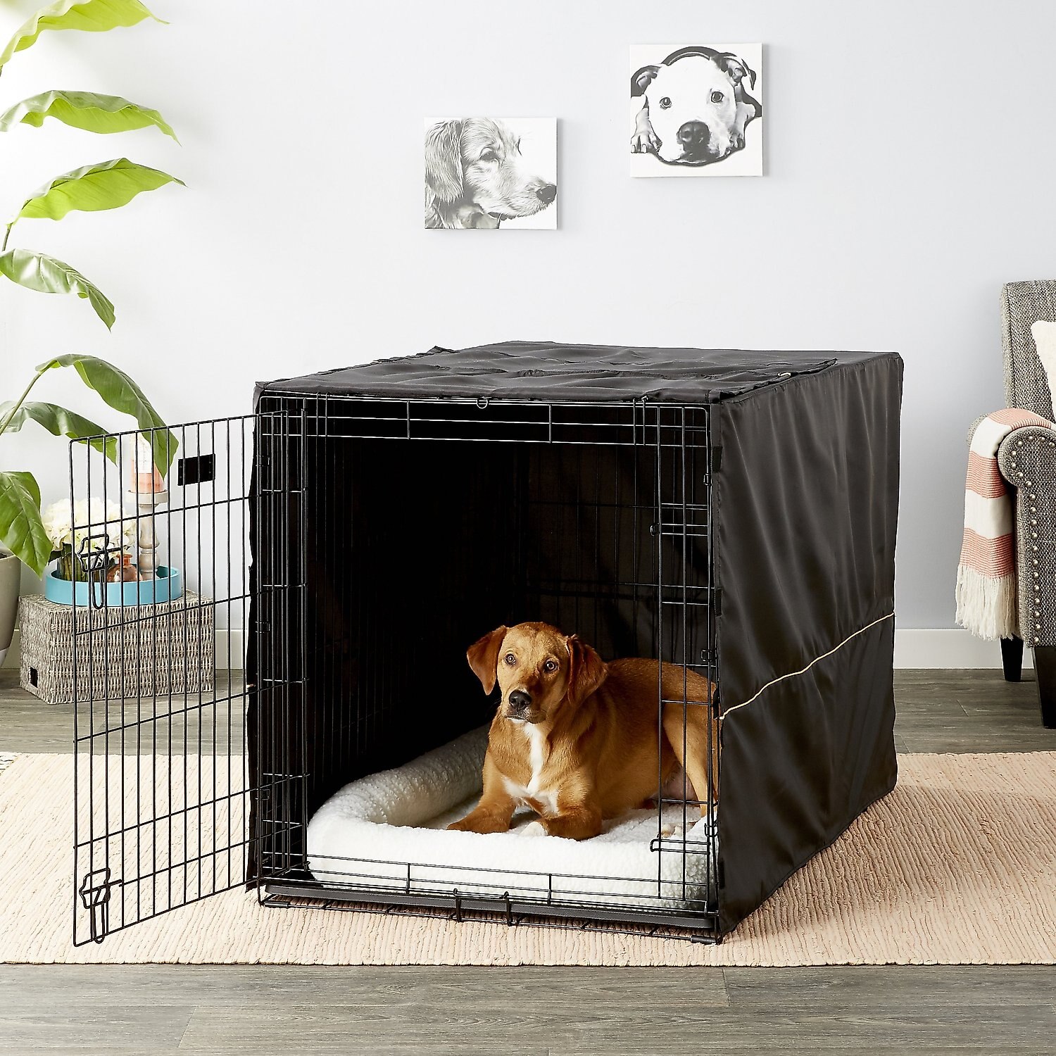 MidWest iCrate Double Door Collapsible Wire Dog Crate Kit