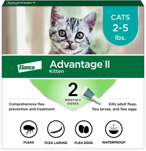Advantage II Flea Spot Treatment for Cats, 2-5 lbs, 2 Doses (2-mos. supply) slide 1 of 13