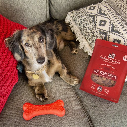 Stella & Chewy's Beef Heart Freeze-Dried Raw Dog Treats, 3-oz bag