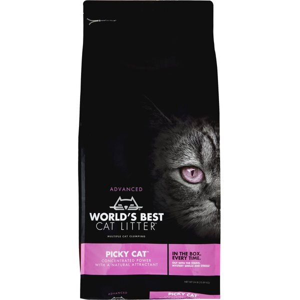 WORLD'S BEST Picky Cat Unscented Clumping Corn Cat Litter, 24lb bag