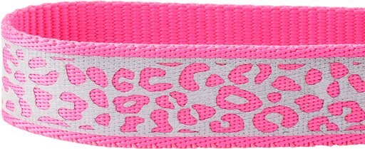 Frisco Patterned Polyester Reflective Dog Collar, Animal Print, Medium: 14 to 20-in neck, 1-in wide