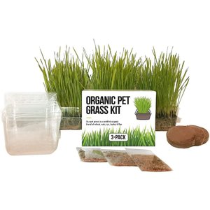 The Cat Ladies Organic Pet Grass Growing Kit With Containers, 3 count