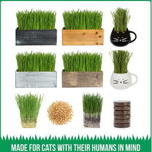 The Cat Ladies Organic Pet Grass Growing Kit with Containers, 3 count