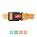 Wigzi Nylon Reflective Waterproof Dog Collar, Neon Orange, 8 to 12-in neck, 1/2-in wide