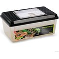 Exo Terra Flat Home Reptile Faunarium, Medium