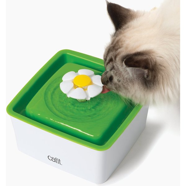 Pet Fit for Life Water Fountain Dispenser Plus Bonus Cat Wand and Mat