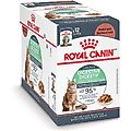 Royal Canin Feline Care Nutrition Digestive Care Adult Chunks in Gravy Pouch Cat Food, 3-oz, case of 12