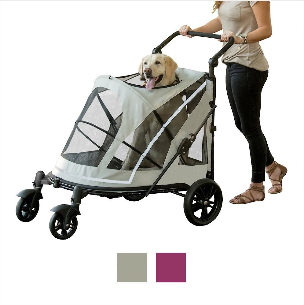 A woman pushing a Golden Retriever in a Pet Gear Dog Stroller.