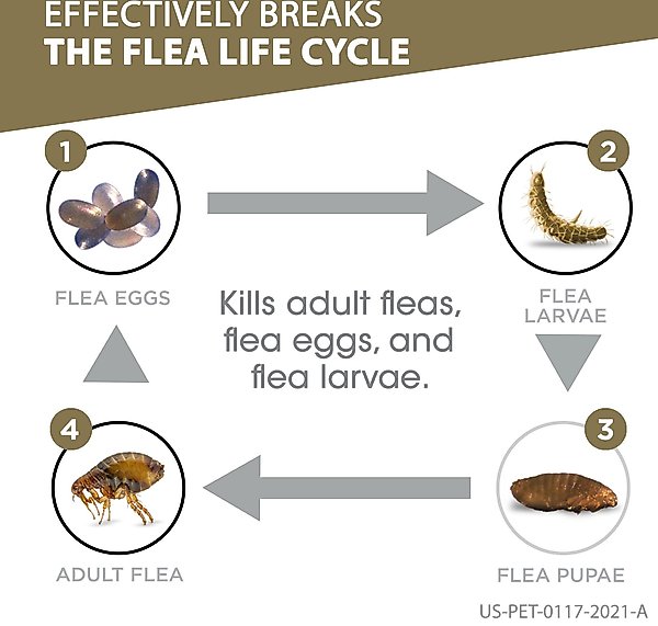 Show full view: Frontline Gold for Cats Flea & Tick Treatment (Cats over 1.5 lbs.) 3 Doses  slide 3 of 10
