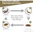 Show in main carousel: Frontline Gold for Cats Flea & Tick Treatment (Cats over 1.5 lbs.) 3 Doses  slide 3 of 10
