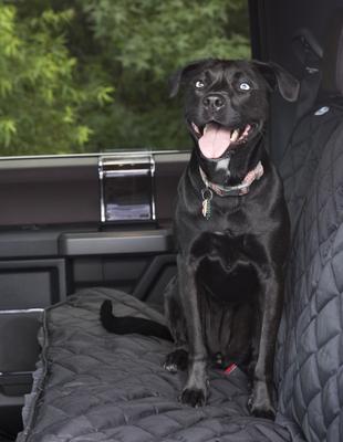 Show full view: Plush Paws Products Center Console Access Seat Cover with Removable Hammock, Regular slide 4 of 11