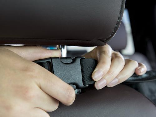 Show full view: Plush Paws Products Center Console Access Seat Cover with Removable Hammock, Regular slide 7 of 11