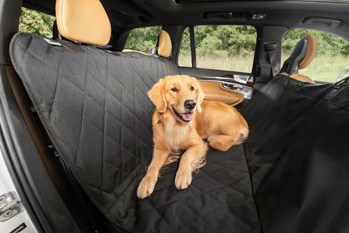 Show full view: Plush Paws Products Seat Cover for Compact Cars, Black, Small slide 4 of 11