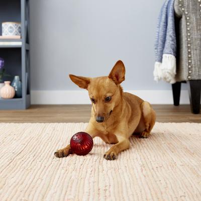 Show full view: Pet Qwerks Blinky Babble Ball Dog Toy, Medium slide 4 of 9