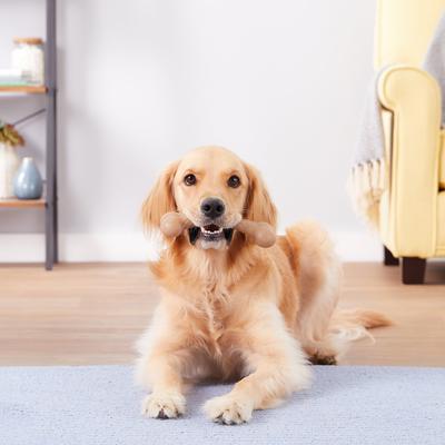 Show full view: Pet Qwerks BarkBone Bacon Flavor Tough Dog Chew Toy, Large slide 3 of 10