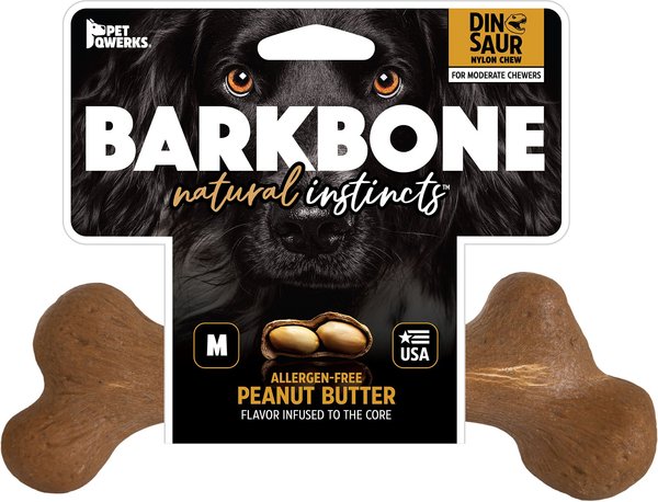 Pet Qwerks Dinosaur BarkBone Wood & Peanut Butter Dog Chew Toy, Medium slide 1 of 6