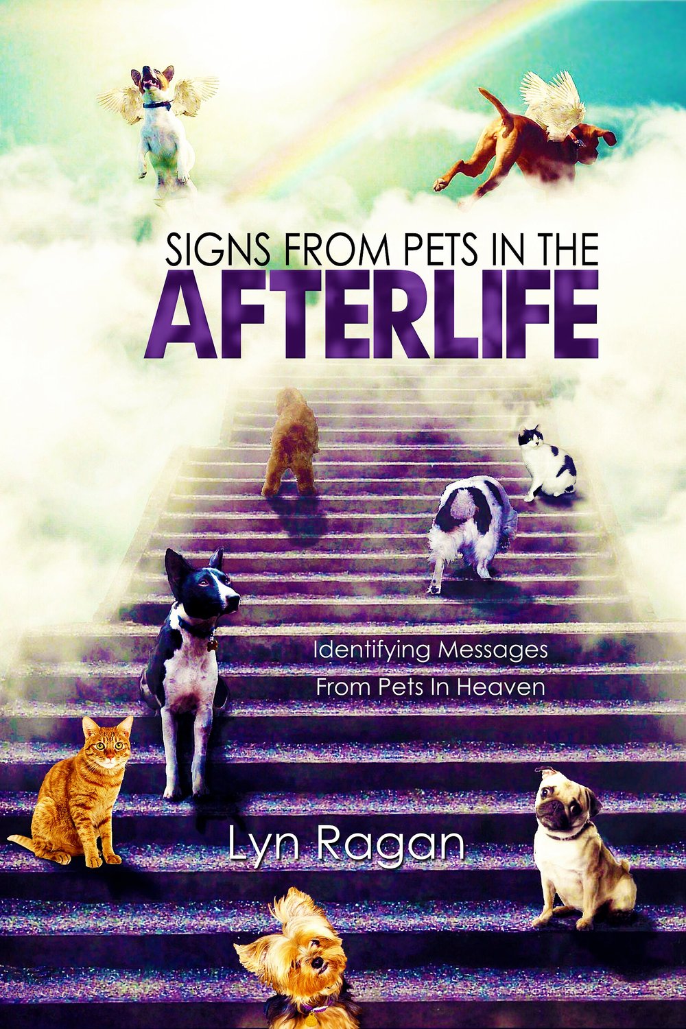 Signs From Pets In The Afterlife - Chewy.com