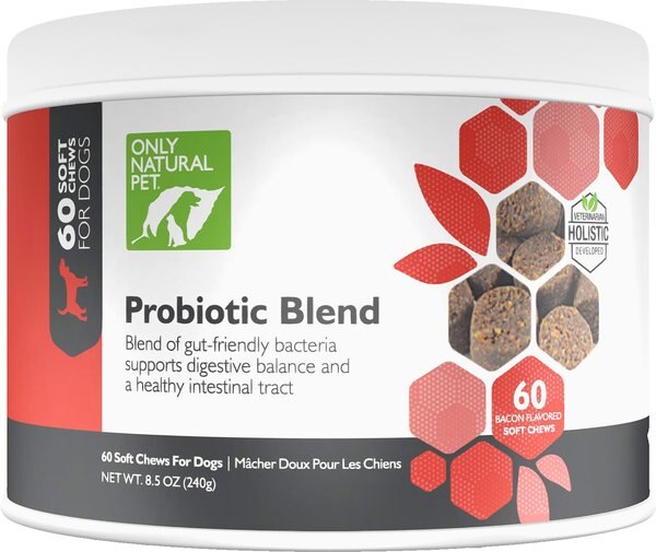 Discontinued ONLY NATURAL PET Probiotic Blend Soft Chews Dog