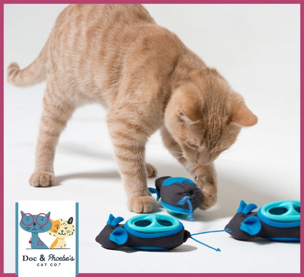 Doc & Phoebe's Cat Co. Indoor Hunting Cat Feeder Kit