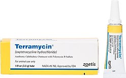 Terramycin Ophthalmic Ointment for Dogs, Cats & Horses, 3.5-g, 1 count