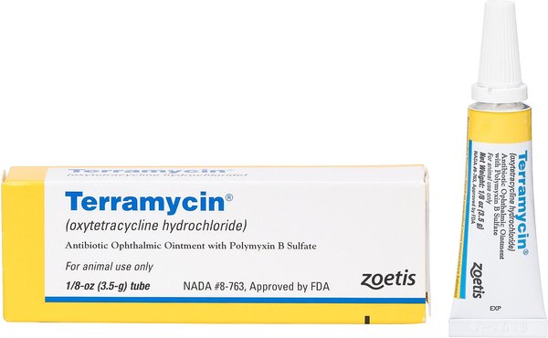 Terramycin Ophthalmic Ointment for Dogs, Cats & Horses, 3.5-g, 1 count slide 1 of 5