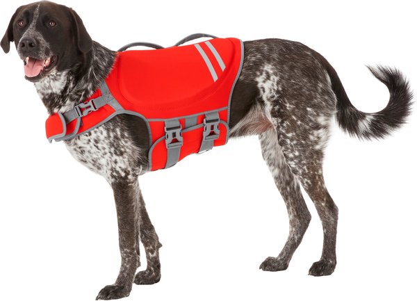 Dog life jacket - fusia NWOT