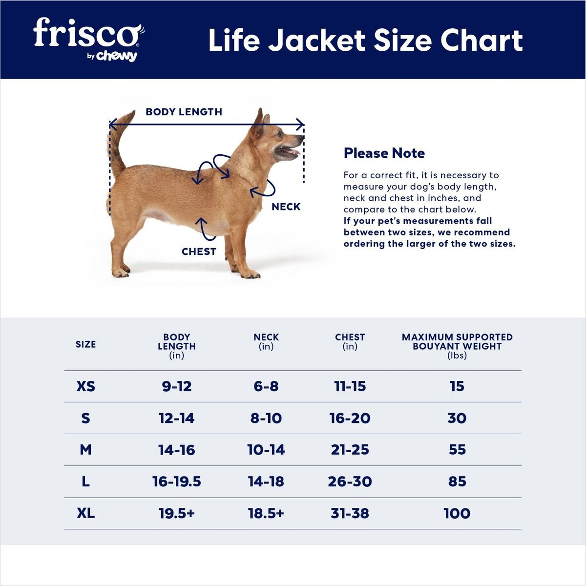 Marlin dog life hot sale jacket size guide