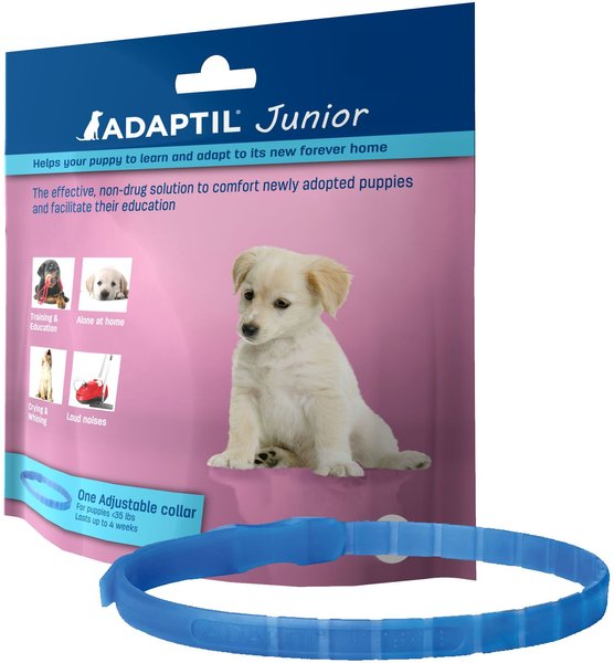 Adaptil On-the-Go Calming Collar for Dogs, Jr, 1 count slide 1 of 2