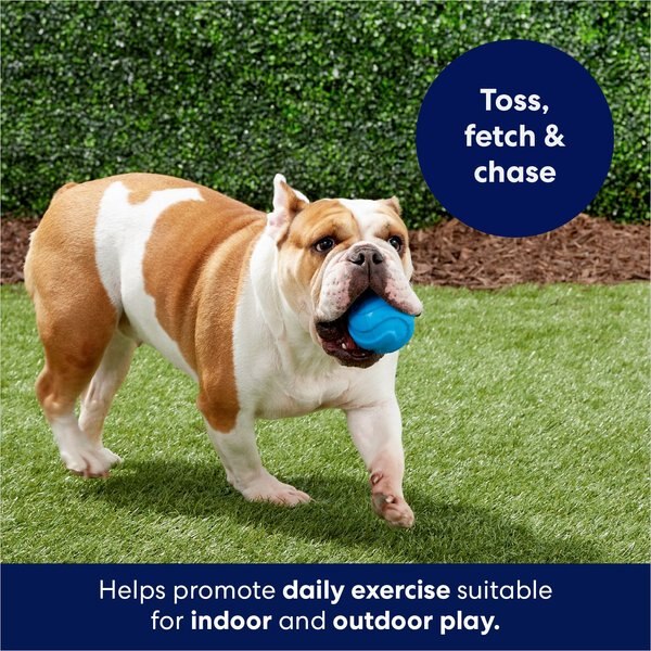 Frisco Canvas No Squeak Dino Dog Toy, Blue