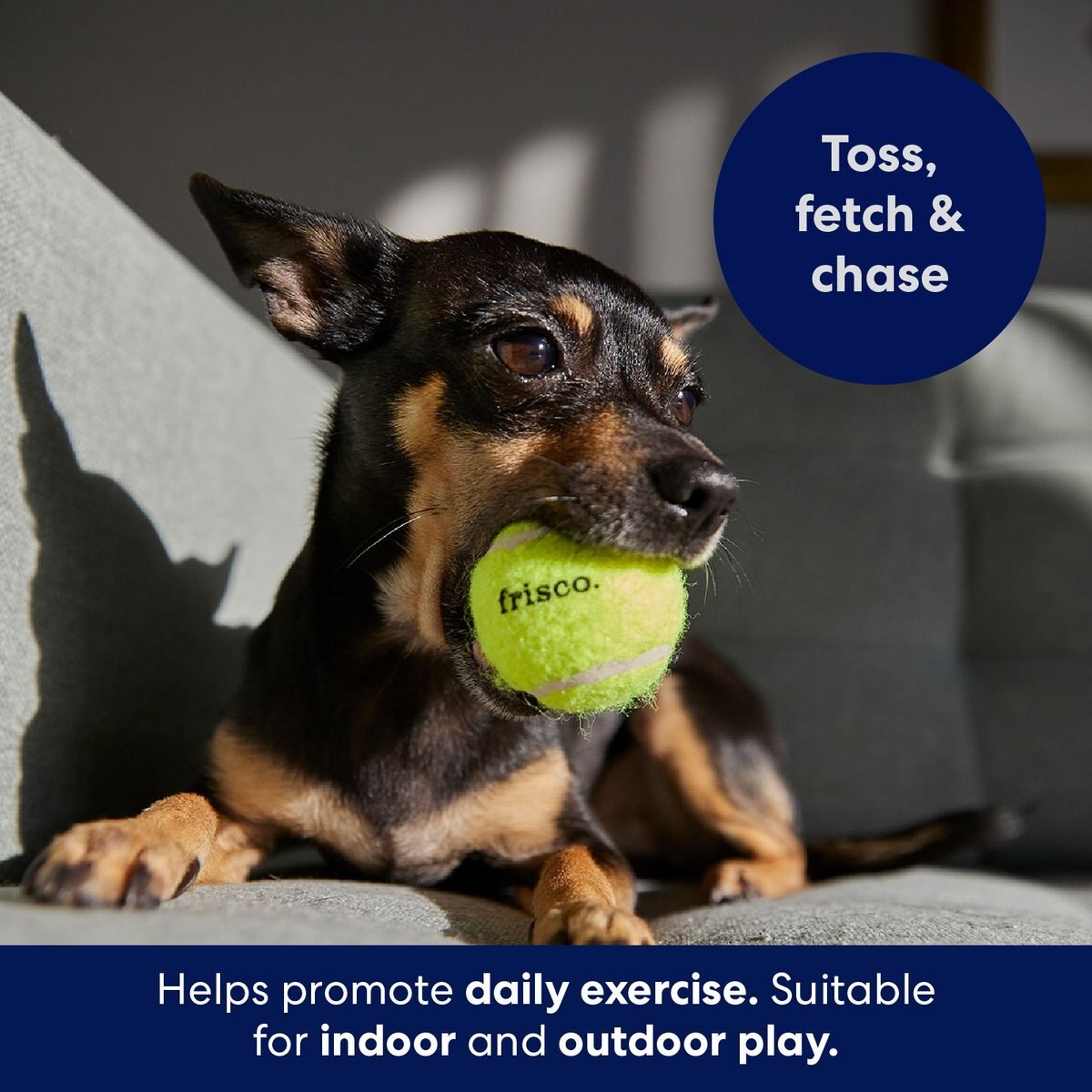 Frisco Valentine Love Monster Fetch Squeaky Tennis Ball Dog Toy, Small/Medium