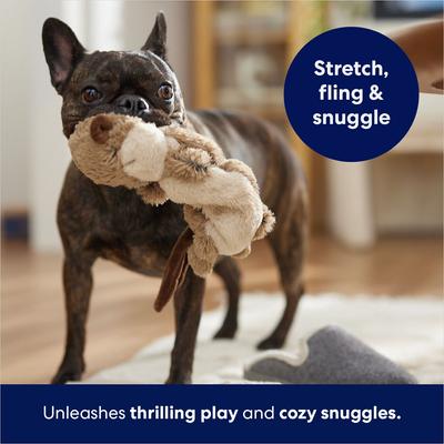 Show full view: Frisco Beaver Bungee Plush Squeaky Dog Toy, Small/Medium slide 5 of 7