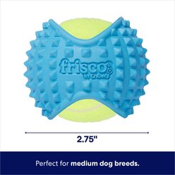 Frisco Fetch Squeaky Tennis Ball with Rubber Sleeve Dog Toy, Medium slide 2 of 7