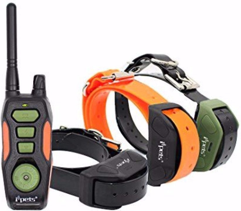 Chewy training outlet collars