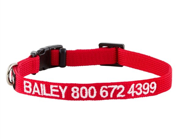 GoTags Nylon Personalized Dog Collar, Red, X-Small: 8 to 12-in neck, 3/8-in wide slide 1 of 8
