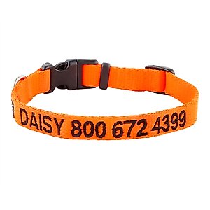GoTags Nylon Personalized Dog Collar, Orange, Small: 11 to 16-in neck, 5/8-in wide