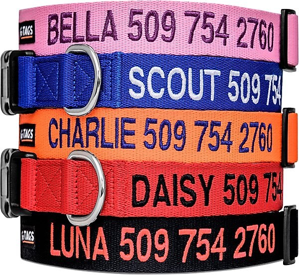 GoTags Nylon Personalized Dog Collar, Red, Small: 11 to 16-in neck, 5/8-in wide slide 1 of 8