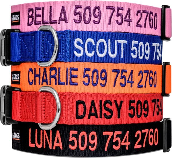 GOTAGS Nylon Personalized Dog Collar, Orange, Medium 14 to 20in neck, 3/4in wide