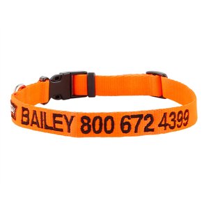 GoTags Nylon Personalized Dog Collar, Orange, Medium: 14 to 20-in neck, 3/4-in wide