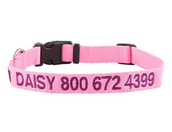 GoTags Nylon Personalized Dog Collar, Pink, Medium: 14 to 20-in neck, 3/4-in wide slide 1 of 8
