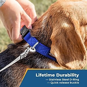 GoTags Nylon Personalized Dog Collar, Red, Medium: 14 to 20-in neck, 3/4-in wide