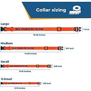 GoTags Nylon Personalized Dog Collar, Red, Medium: 14 to 20-in neck, 3/4-in wide