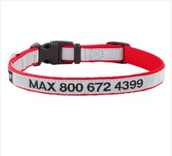 GoTags Nylon Personalized Reflective Dog Collar, Red, Small: 11 to 16.5-in neck, 5/8-in wide