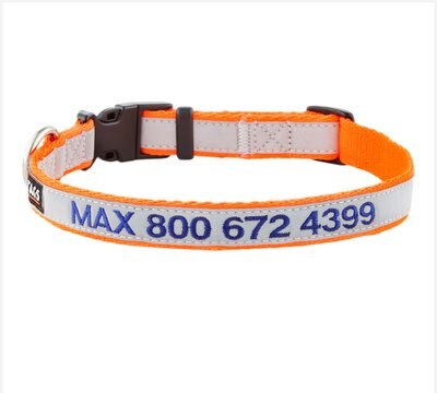 GoTags Nylon Personalized Reflective Dog Collar, slide 1 of 1