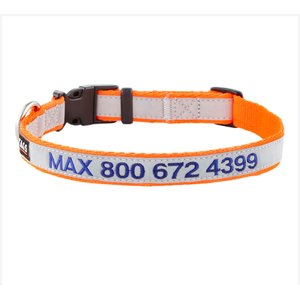 GoTags Nylon Personalized Reflective Dog Collar, Orange, Medium: 14 to 20.5-in neck, 3/4-in wide